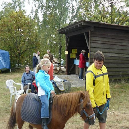 Holiday Home In Wietzendorf In The L Neburg Heath With A View Of The Countryside Zewnętrze zdjęcie