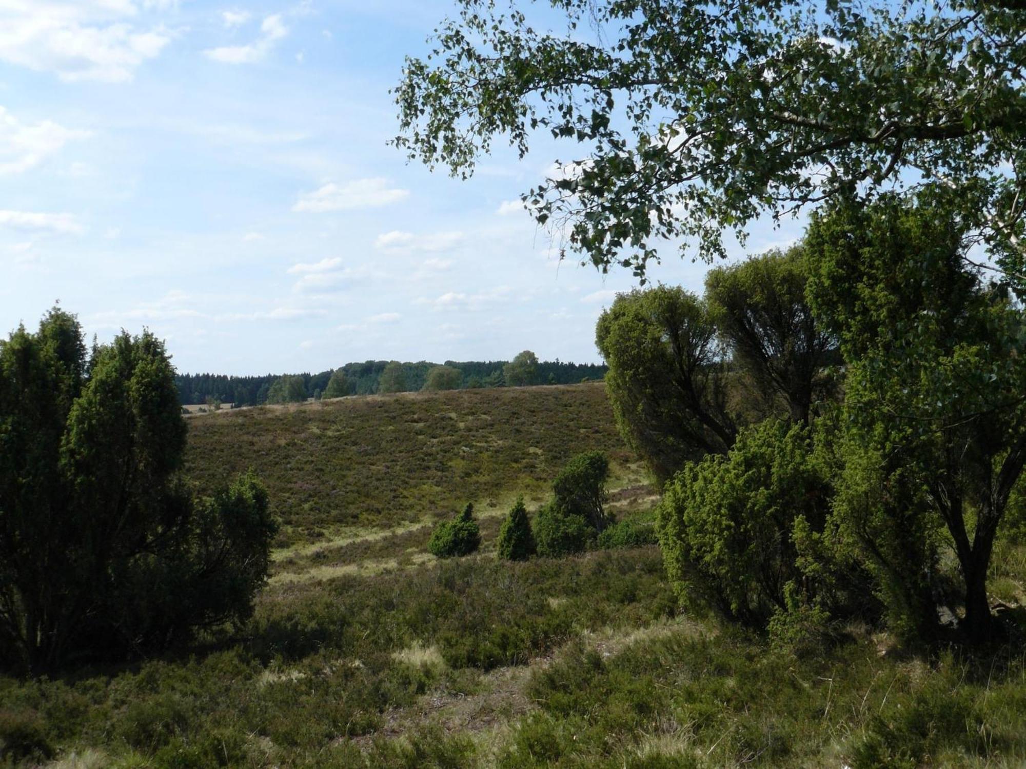 Holiday Home In Wietzendorf In The L Neburg Heath With A View Of The Countryside Zewnętrze zdjęcie