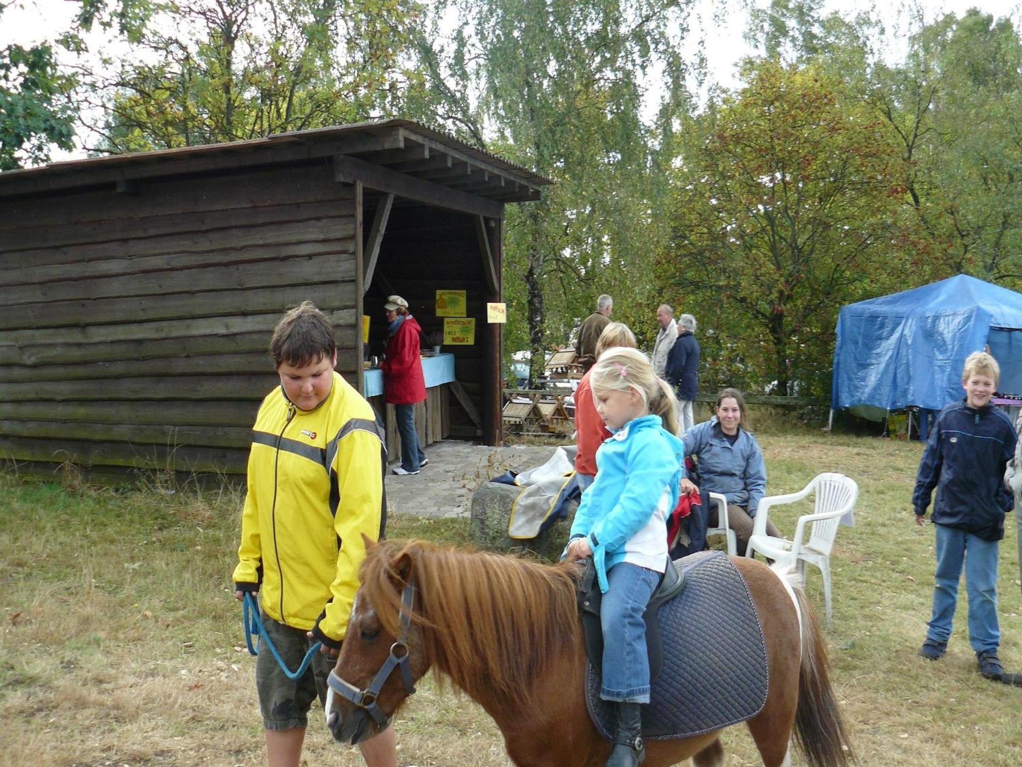 Holiday Home In Wietzendorf In The L Neburg Heath With A View Of The Countryside Zewnętrze zdjęcie
